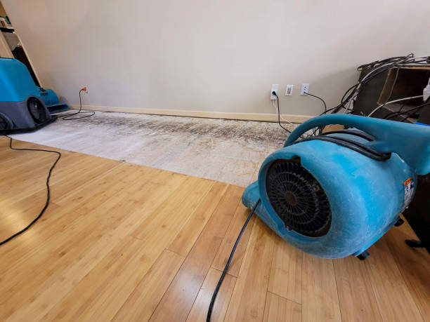 Professional Structural Drying technician working in Browns Mills, NJ